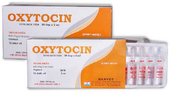 Bạn nên dùng thuốc oxytocin như thế nào?