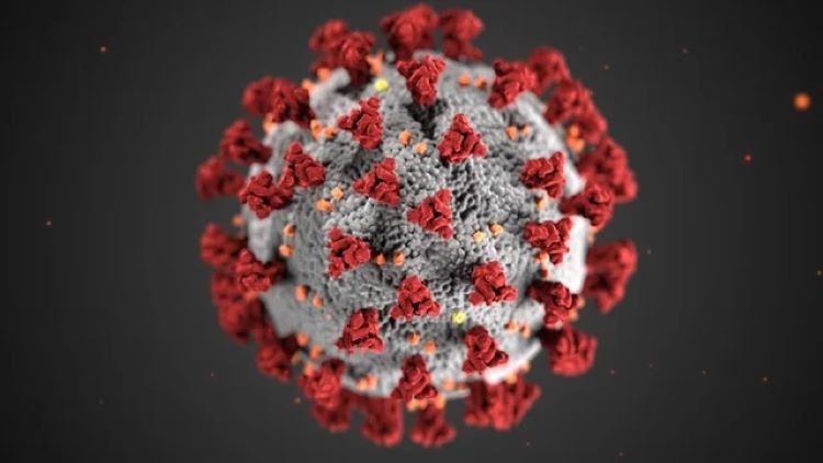 Biến thể virus Corona ở Anh có thể đã âm thầm lây lan ở Mỹ