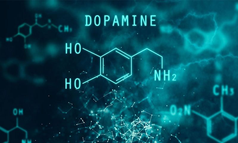 Dopamine ảnh hưởng đến cơ thể như thế nào?