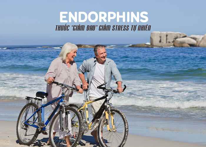 Endorphins được hình thành như thế nào và có tác dụng gì?