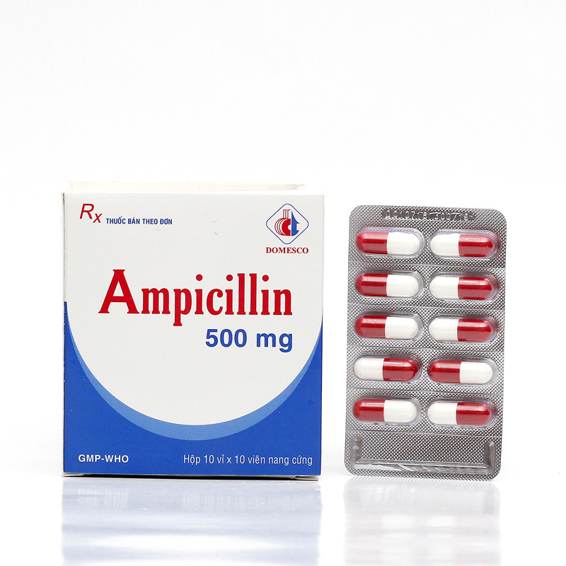 Hướng dẫn sử dụng thuốc Ampicillin đúng cách nhất