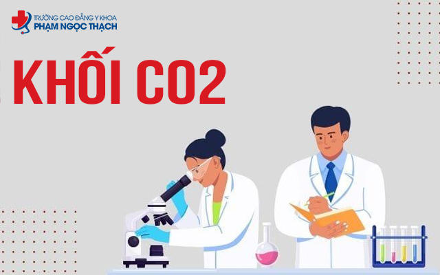 Khối C02 gồm môn, ngành nào? Trường nào đào tạo hiện nay?