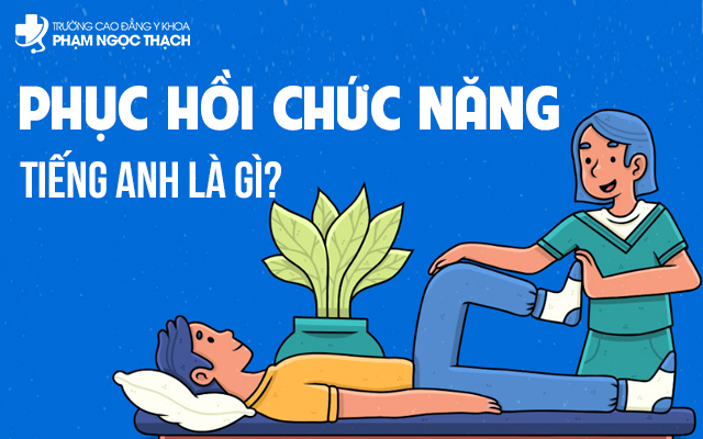 Phục hồi chức năng tiếng Anh là gì? Tổng hợp thuật ngữ thường dùng