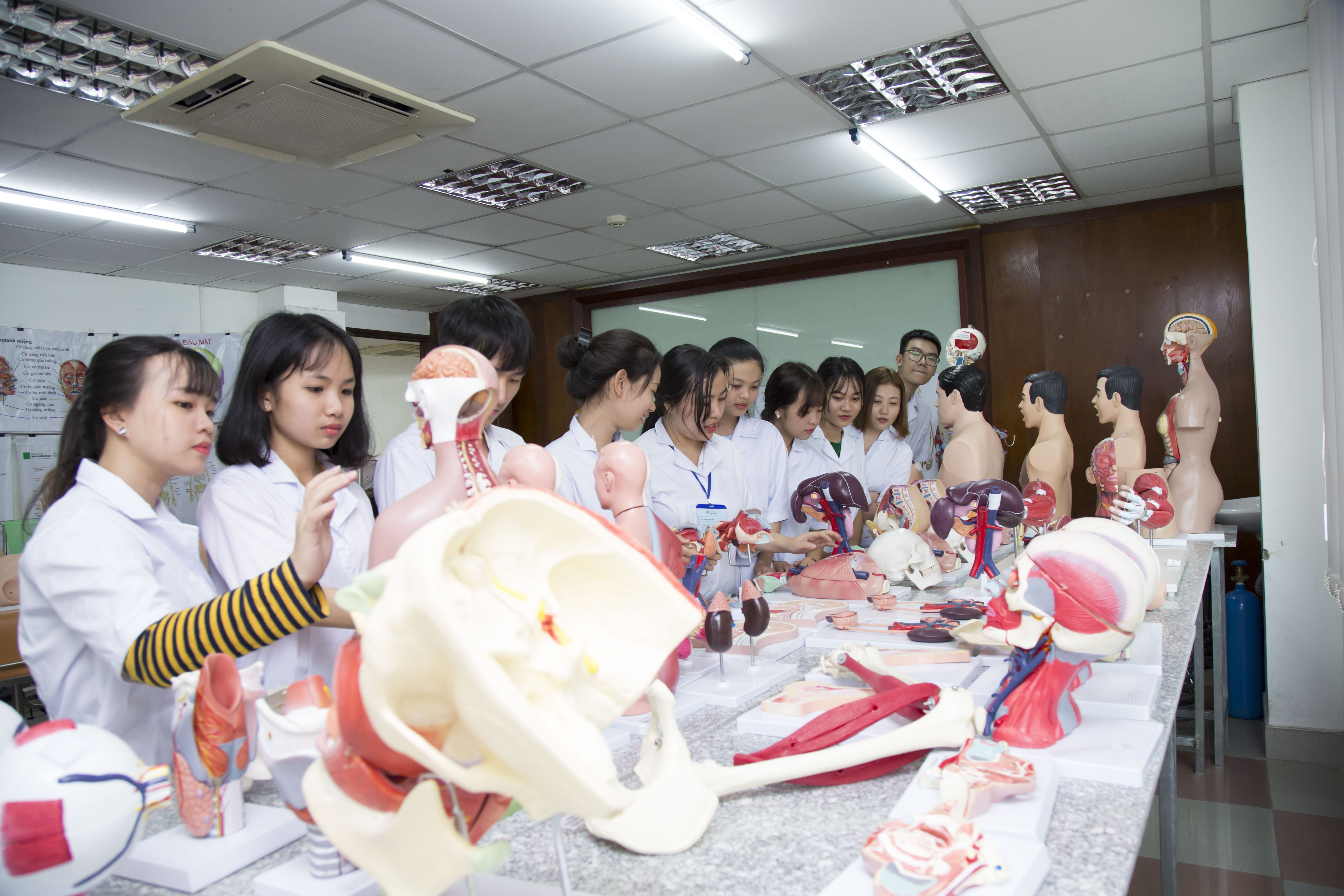 Trường cao đẳng Y Dược Sài Gòn là trường công hay tư?