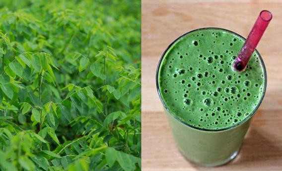 Ăn rau ngót có tác dụng gì? Những điều cần lưu ý cho người dùng