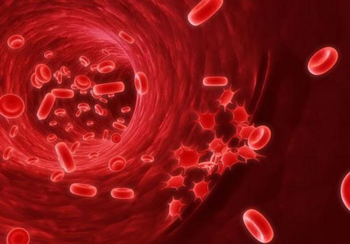 Bệnh máu khó đông là gì? Bệnh có chữa khỏi không?