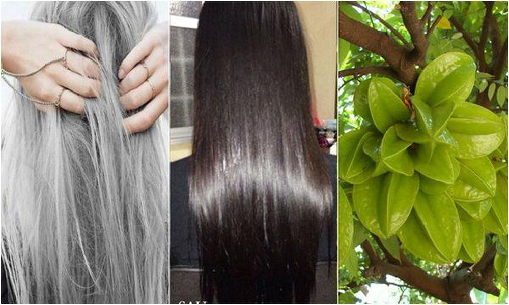 Các bài thuốc trị tóc bạc sớm đơn giản tại nhà