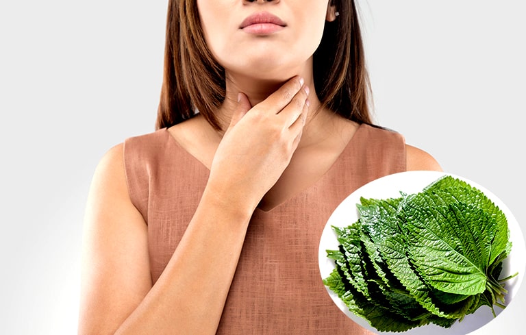 Các cách giảm đau họng tại nhà bằng các mẹo dân gian siêu hiệu quả