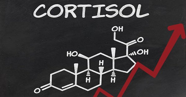 Cortisol là gì? Giải pháp cân bằng Cortisol tốt cho cơ thể