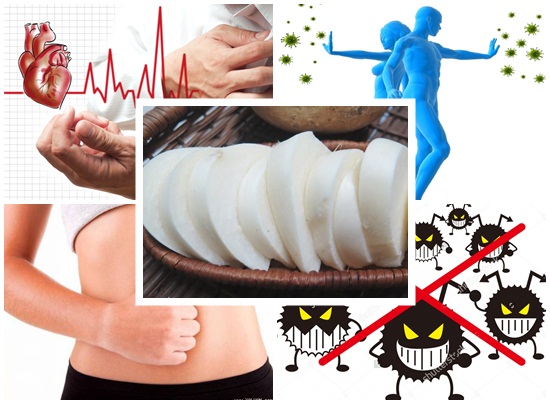 Củ đậu có tác dụng gì? Có những lưu ý nào cần biết khi ăn củ đậu?