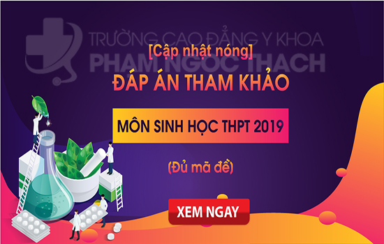 Đáp án chi tiết 24 mã đề thi môn Sinh Học THPT Quốc gia 2019 – đầy đủ, chính xác