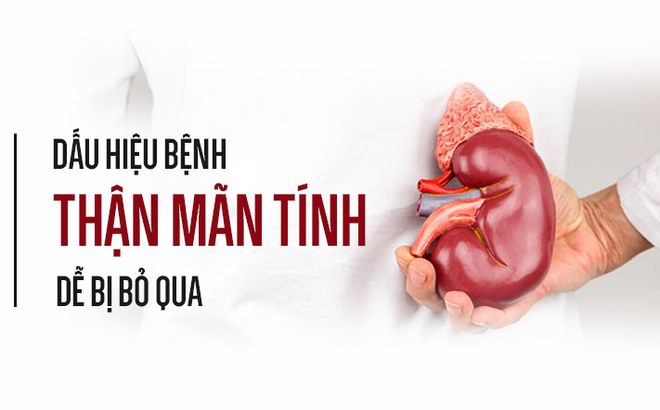 Dấu hiệu nhận biết bệnh suy thận mãn tính, cách điều trị và phòng ngừa