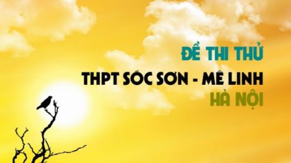 Đề thi thử môn Lịch Sử trường THPT Sóc Sơn – Mê Linh