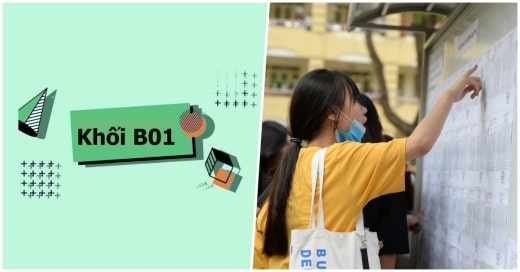 Khối B01 bao gồm những môn, ngành nào? Học ở đâu 2026?
