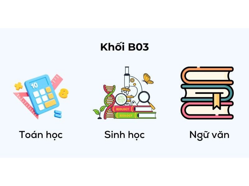 Khối B03 gồm môn, ngành nào? Cơ hội nghề nghiệp học khối B03