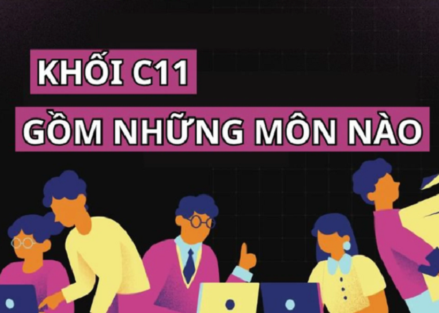 Khối C11: Thông tin chi tiết về môn thi, ngành học và cơ hội việc làm