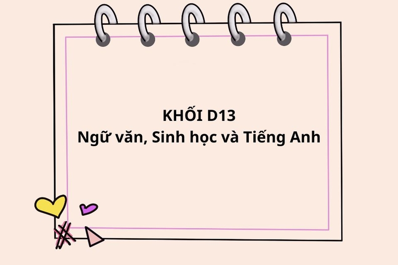 Khối D13 là gì? Ngành học, trường tuyển sinh và cơ hội nghề nghiệp