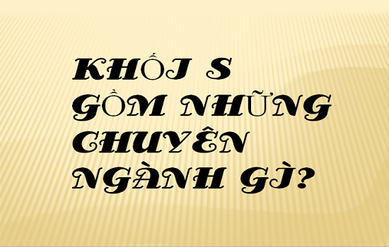 Khối S: môn thi, ngành nghề và các trường đào tạo khối S