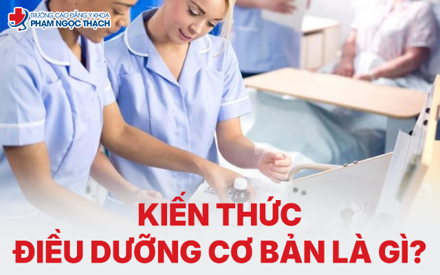 Kiến thức Điều dưỡng cơ bản gồm những nội dung hạng mục gì?