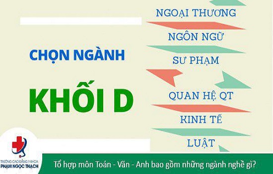 Khối D là gì? Tổng quan kiến thức về khối D đầy đủ chi tiết nhất