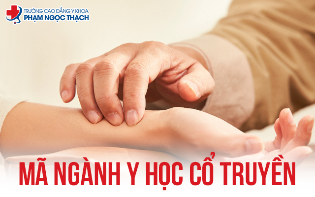 Mã ngành Y học Cổ truyền bao nhiêu? Vai trò mã Y học Cổ truyền là gì?