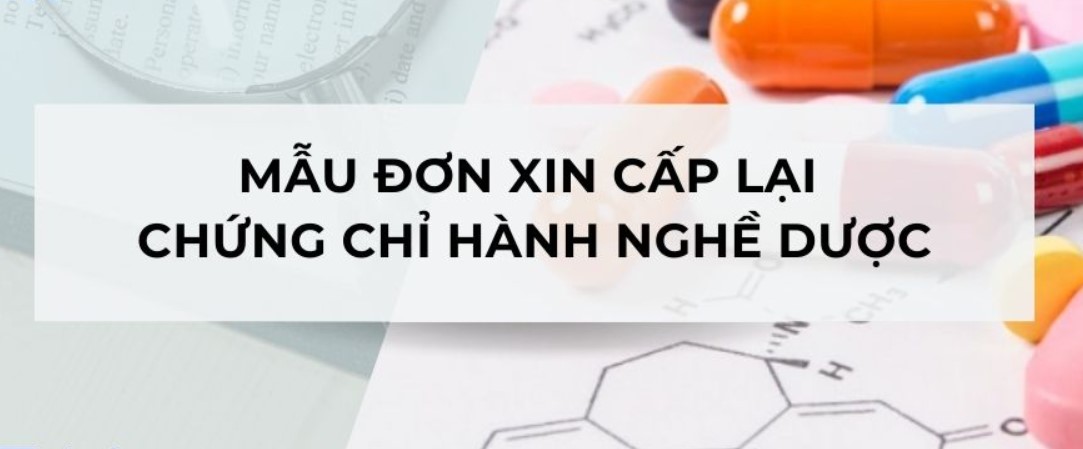 Mẫu đơn xin cấp lại chứng chỉ hành nghề Dược mới nhất 2026