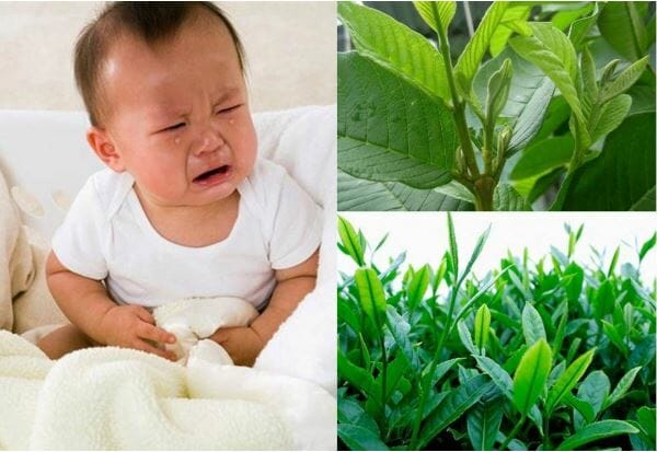 Mẹo chữa đi ngoài cho trẻ sơ sinh hiệu quả