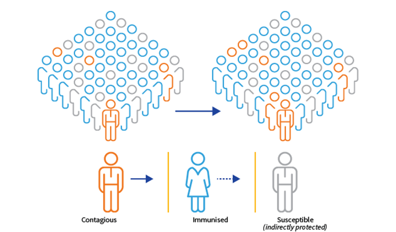 Miễn dịch cộng đồng là gì? Vai trò của Vắc xin với miễn dịch cộng đồng?