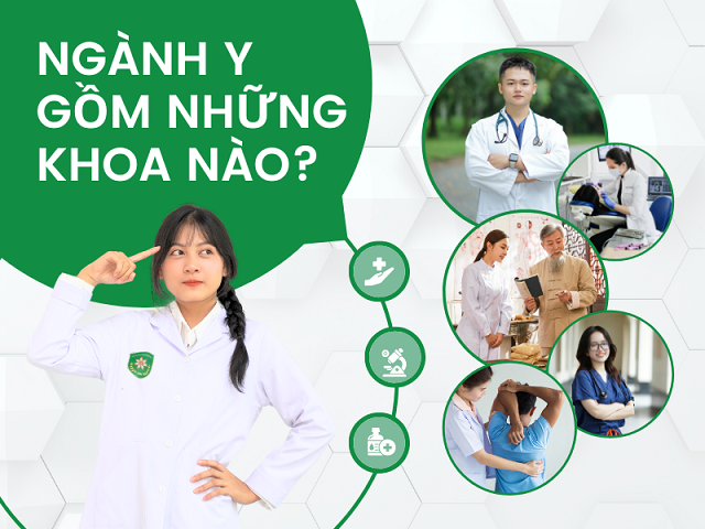 Ngành Y gồm những khoa nào? Cách chọn khoa thích hợp