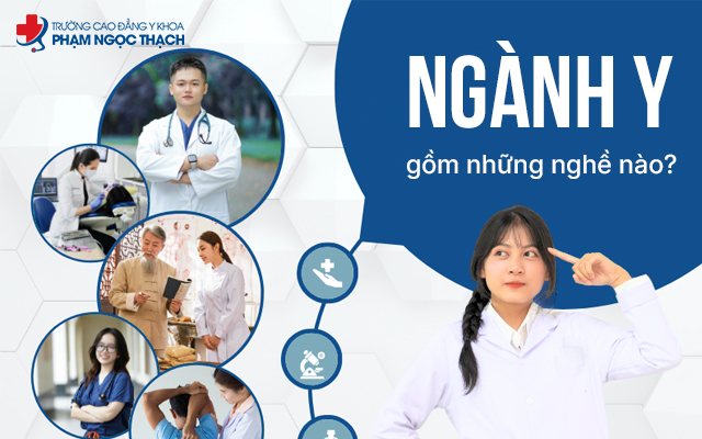 Ngành Y gồm những nghề nào? Đâu là nghề tiềm năng nhất?