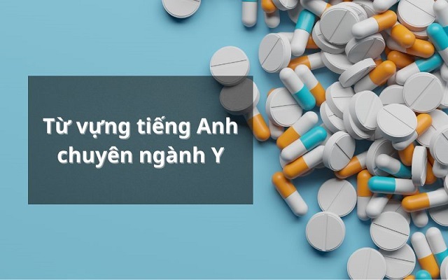 Ngành Y tiếng Anh là gì? Tổng hợp từ vựng chuyên ngành Y
