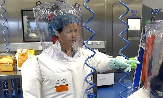 Nữ người dơi Trung Quốc cảnh báo về dịch bệnh khác do virus