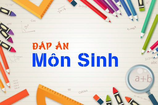 Ôn thi Đại học môn Sinh học THPT Quốc Gia 2020 có đáp án – chi tiết