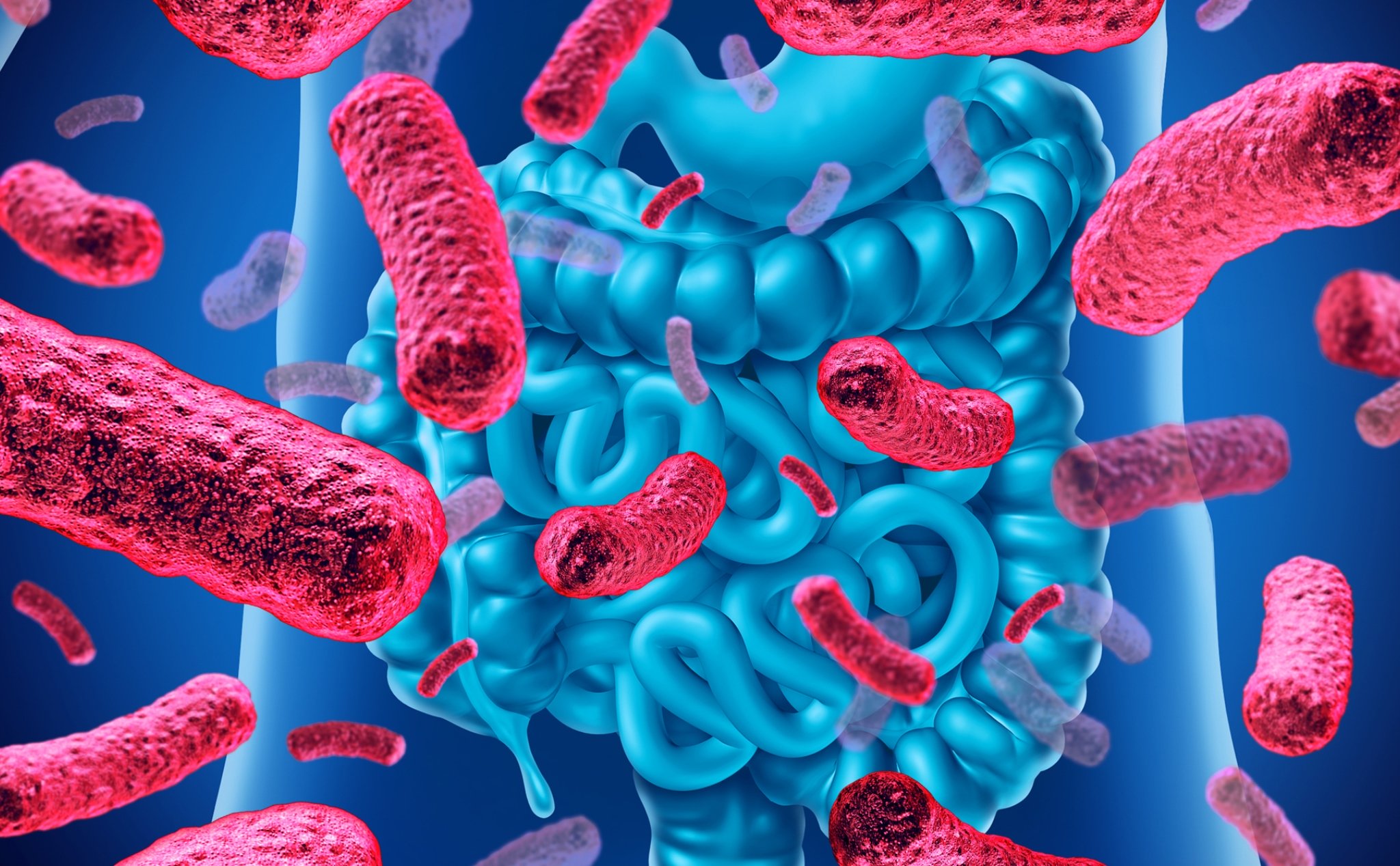 Probiotics là gì? Lợi ích của Probiotics như thế nào?