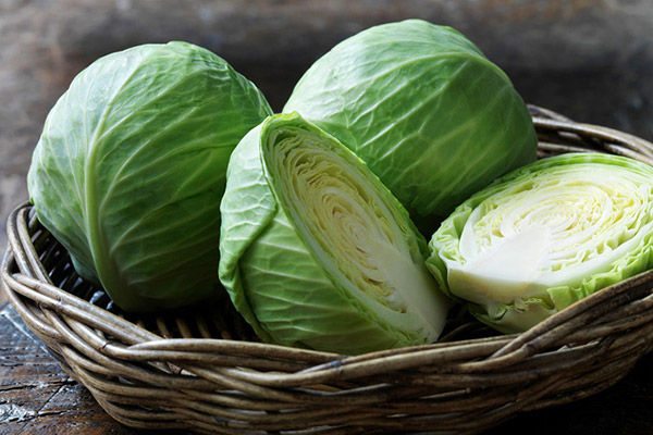 Rau bắp cải – bài thuốc tuyệt vời của người nghèo