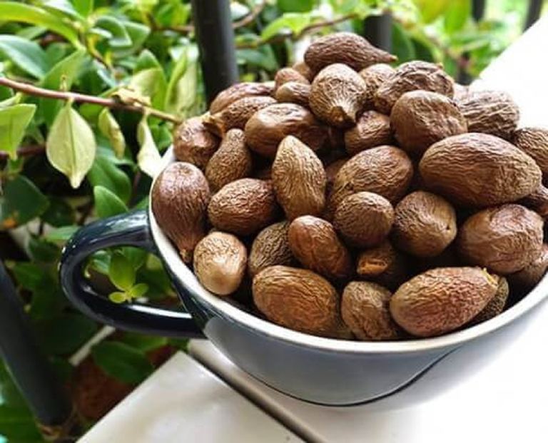 Tác dụng của hạt ươi tốt cho sức khỏe mà bạn nên biết