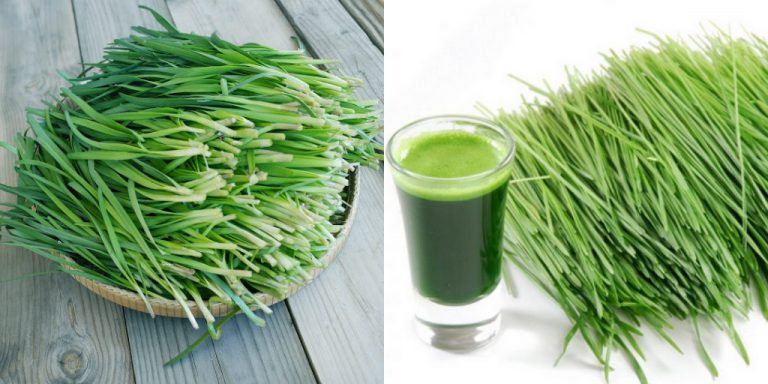 Tác dụng của hẹ đối với trẻ sơ sinh, trẻ nhỏ và nam giới