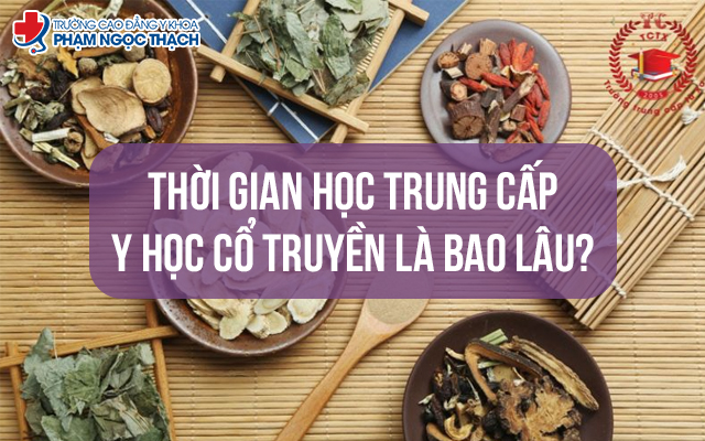 Thời gian học Trung cấp Y học cổ truyền bao lâu? Có linh hoạt không?