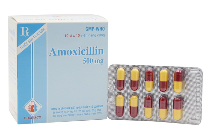 Thuốc Amoxicillin có tác dụng gì? Liều dùng như thế nào nào?