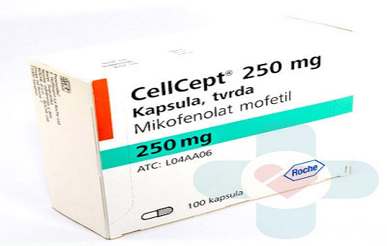 Thuốc Cellcept dùng để điều trị những bệnh gì?