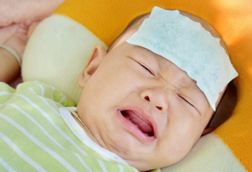 Eugica – giải pháp thảo dược trong điều trị ho