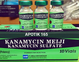 Kanamycin Meiji là loại thuốc kháng sinh gì? Có công dụng như thế nào?