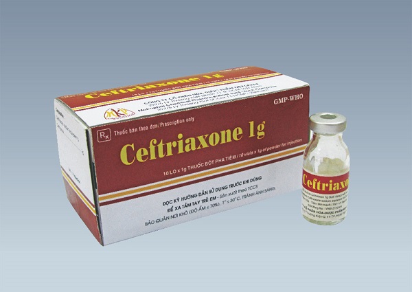 Thuốc Ceftriaxone: Tác dụng, liều dùng và cách sử dụng thuốc