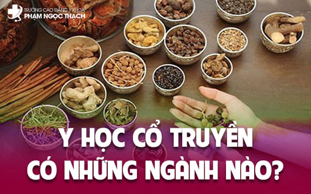 Y học cổ truyền có những ngành nào? Tổng hợp danh sách đầy đủ