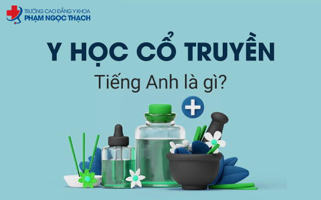 Y học cổ truyền tiếng Anh là gì? Cách học từ vựng tiếng Anh tốt