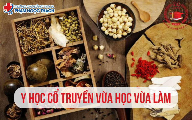 Y học Cổ truyền vừa học vừa làm có nên không? Giải đáp chi tiết