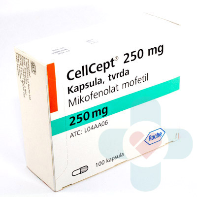Cellcept là thuốc gì