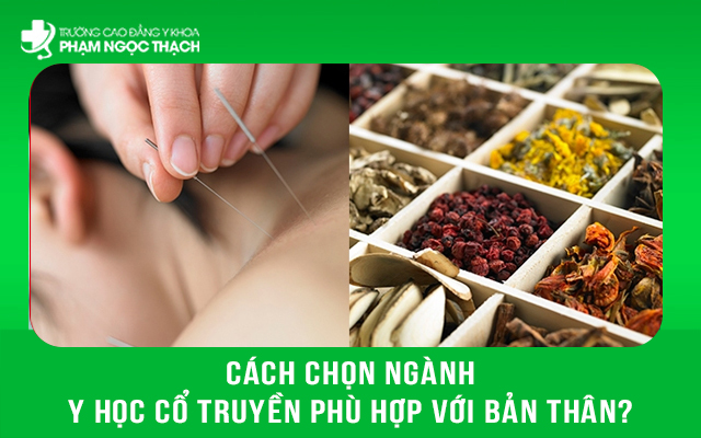 Mỗi ng&agrave;nh Y học cổ truyền c&oacute; đặc th&ugrave; ri&ecirc;ng về kiến thức, kỹ năng v&agrave; m&ocirc;i trường l&agrave;m việc