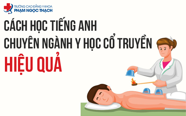 cách học tiếng Anh chuyên ngành Y học cổ truyền