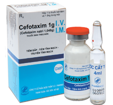 cefotaxim-1